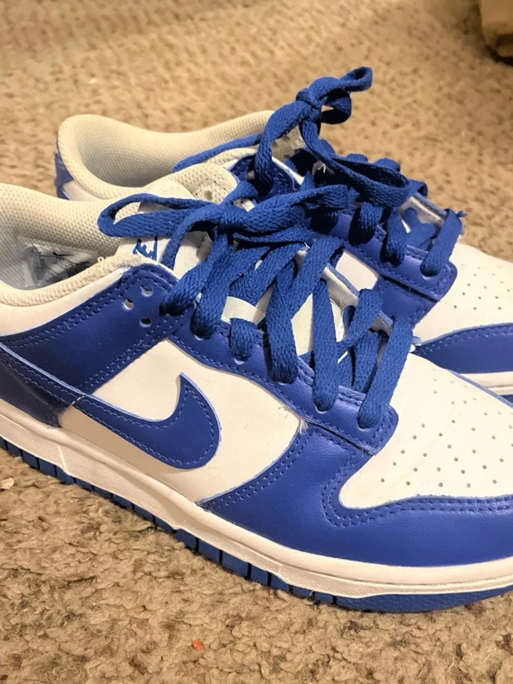 Nike Low Top Sneakers - White & Royal Blue